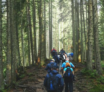 Teambuilding in de Belgische Ardennen met Survival Life